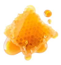 Close-up of a honeycomb with honey dripping, on a transparent background